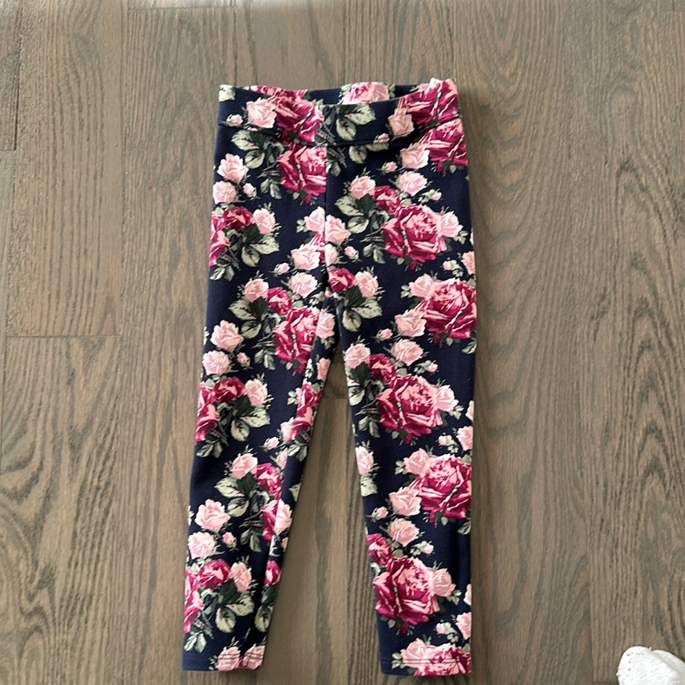 Janie and Jack floral Ponte pant